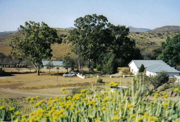 At home in the Karoo, in many ways....